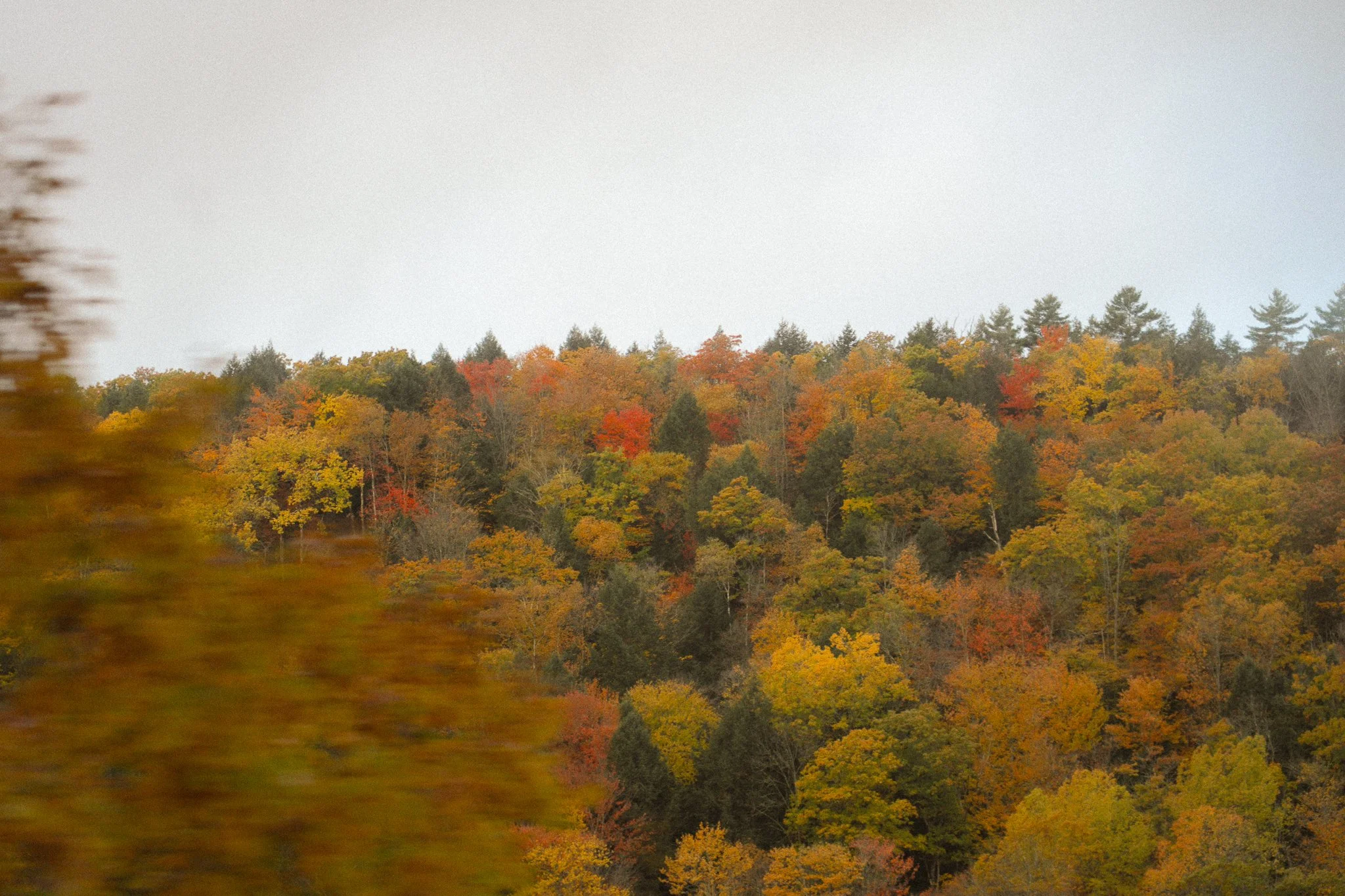 new-england-17.jpg