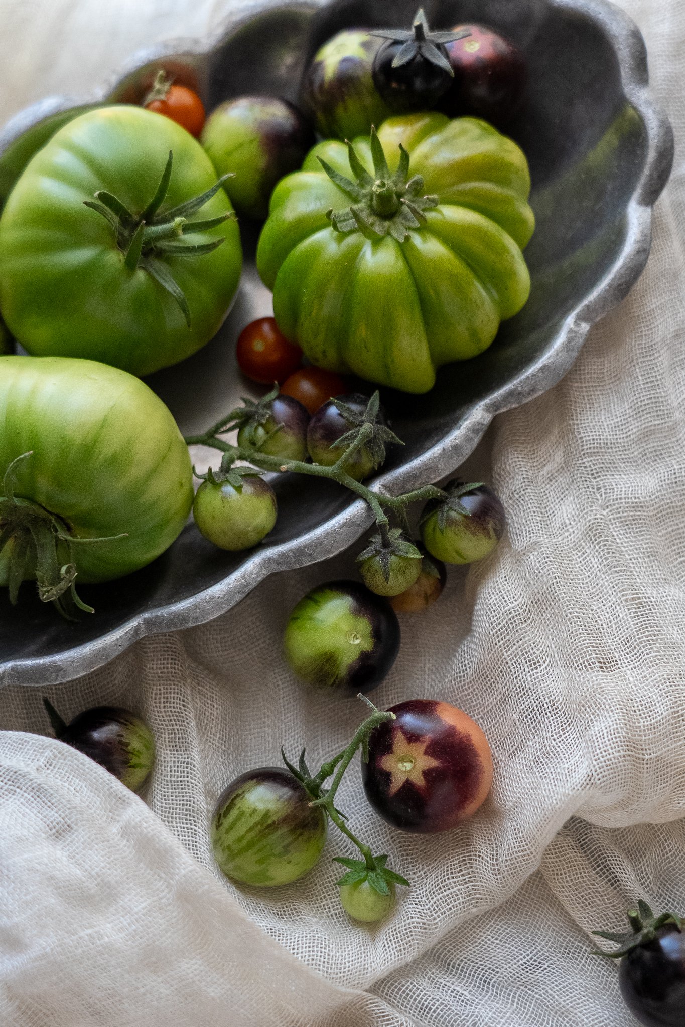 HH-tomatoes-7.jpg