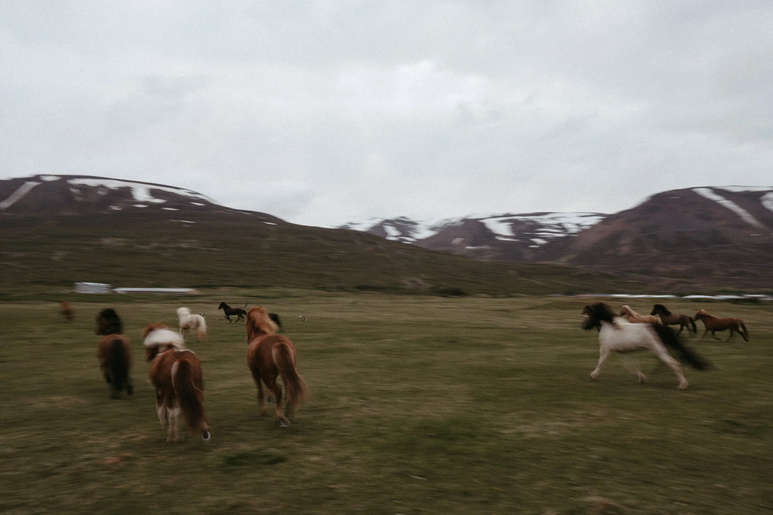 Folsom, Gemma-56.jpg