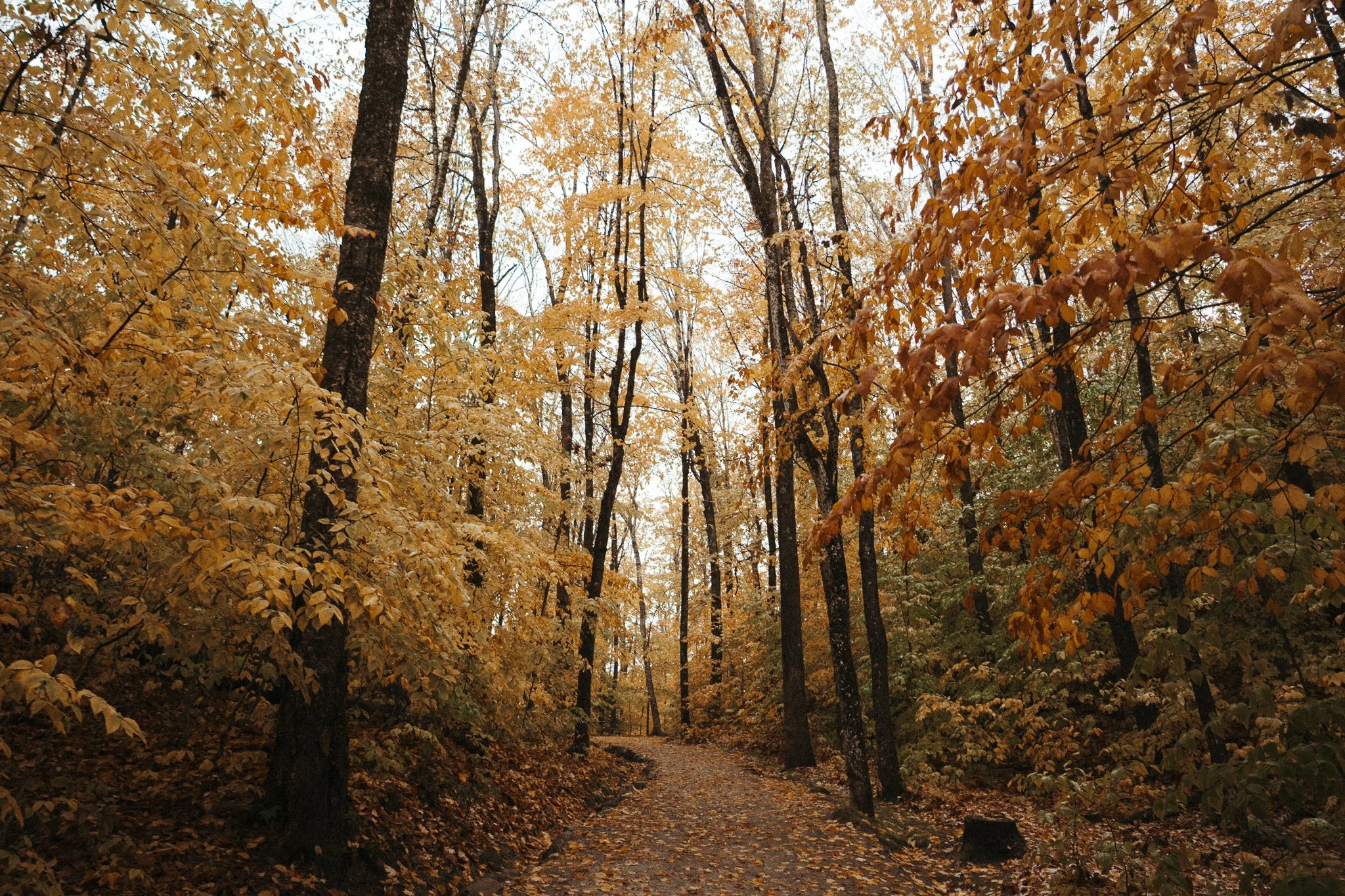 new-england-1.jpg