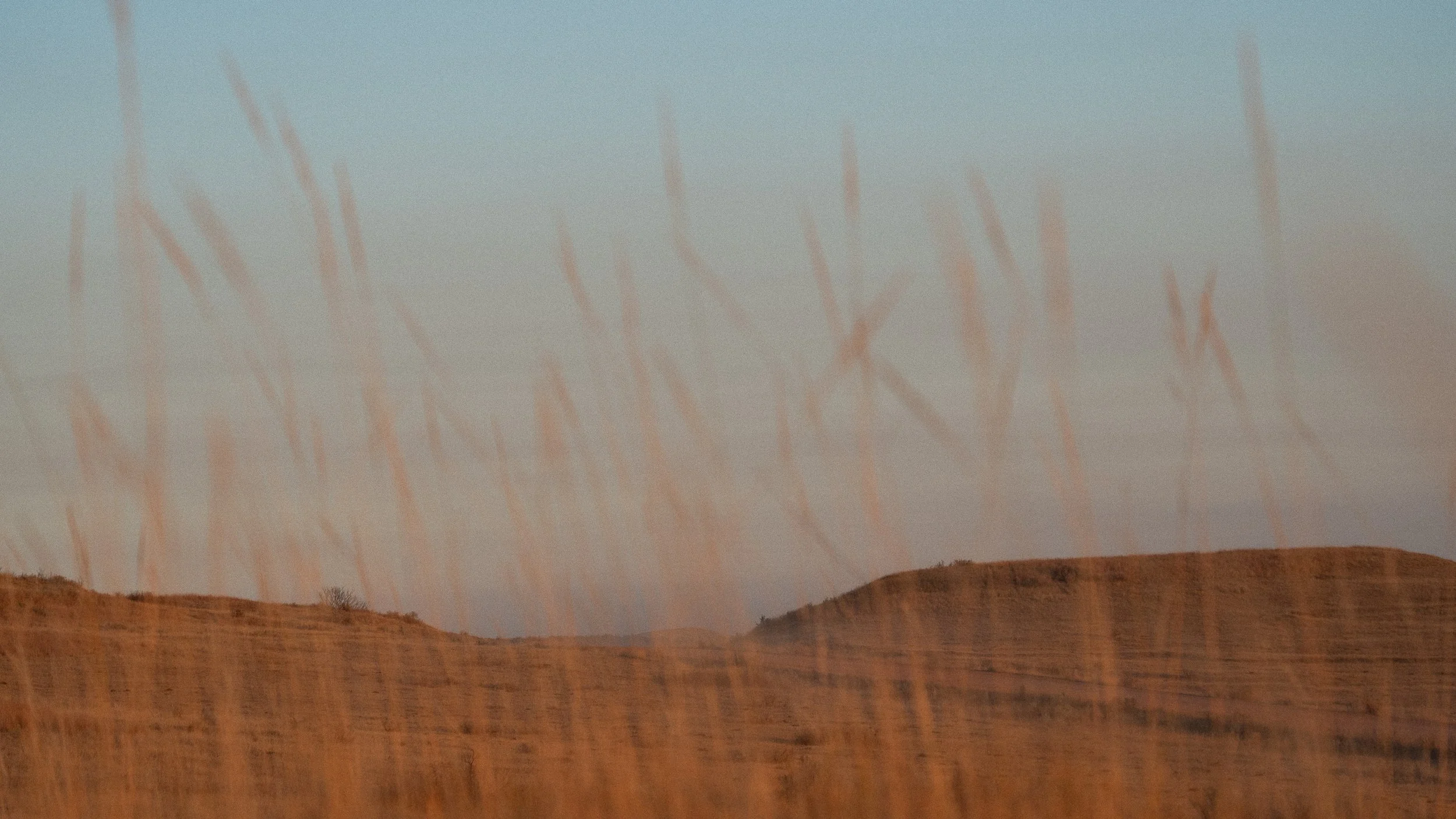 Folsom, Gemma-212.jpg