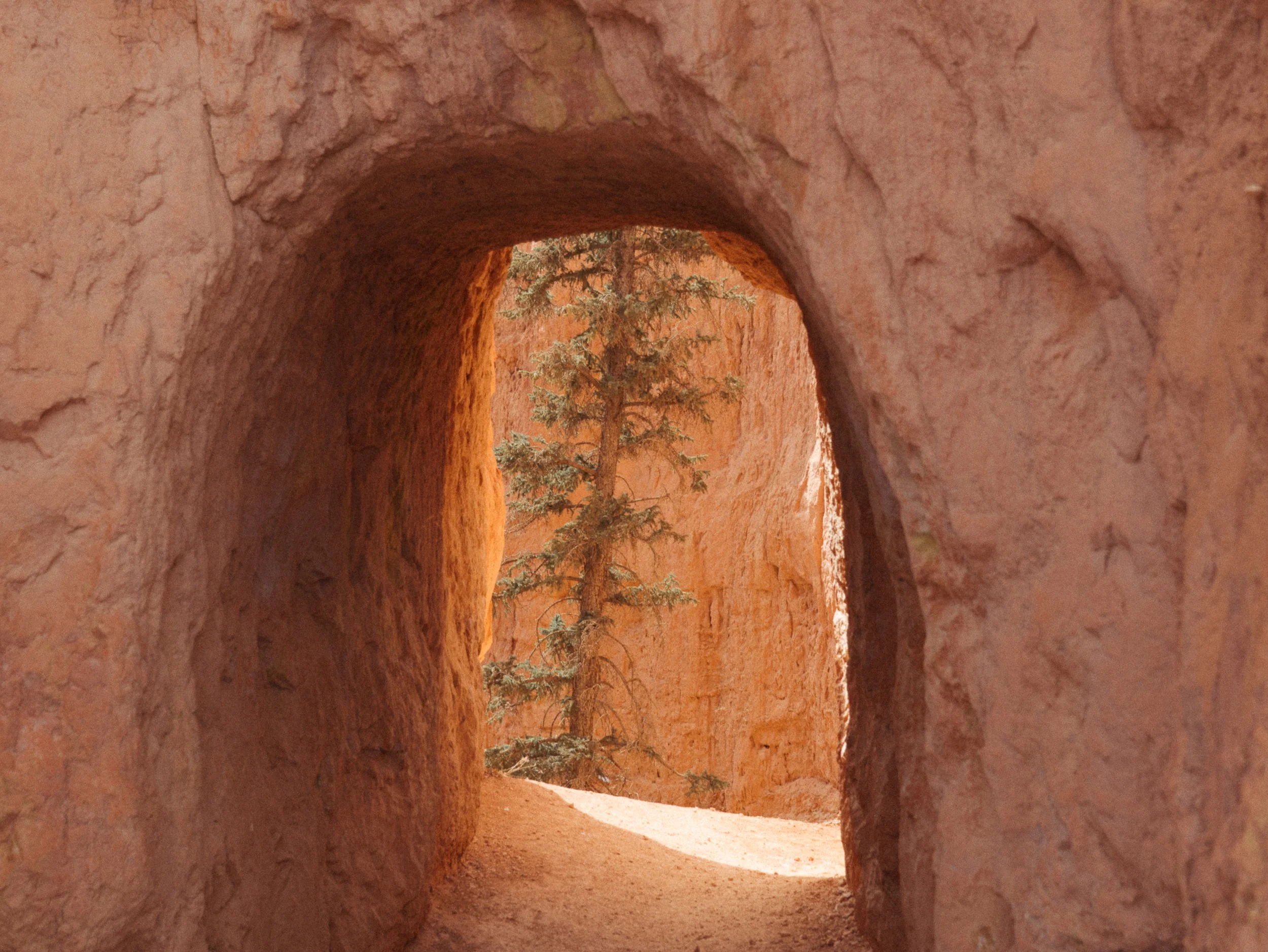 utah-227.jpg