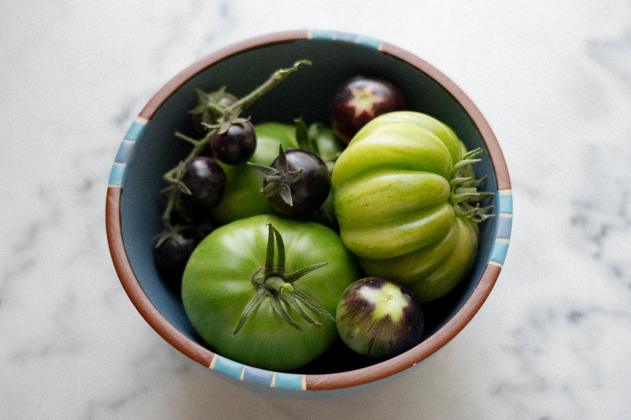 HH-tomatoes-2.jpg