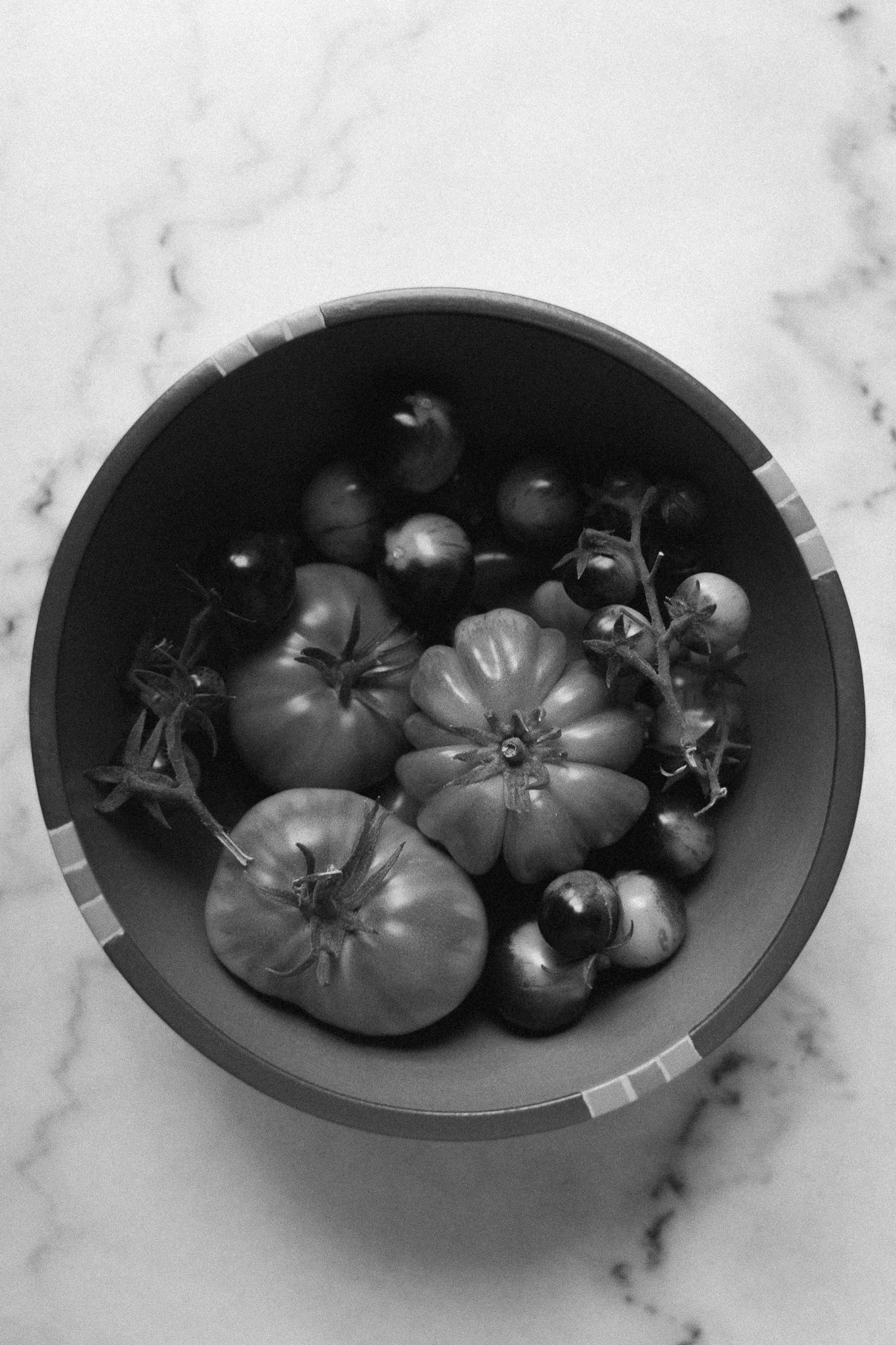 HH-tomatoes-16.jpg