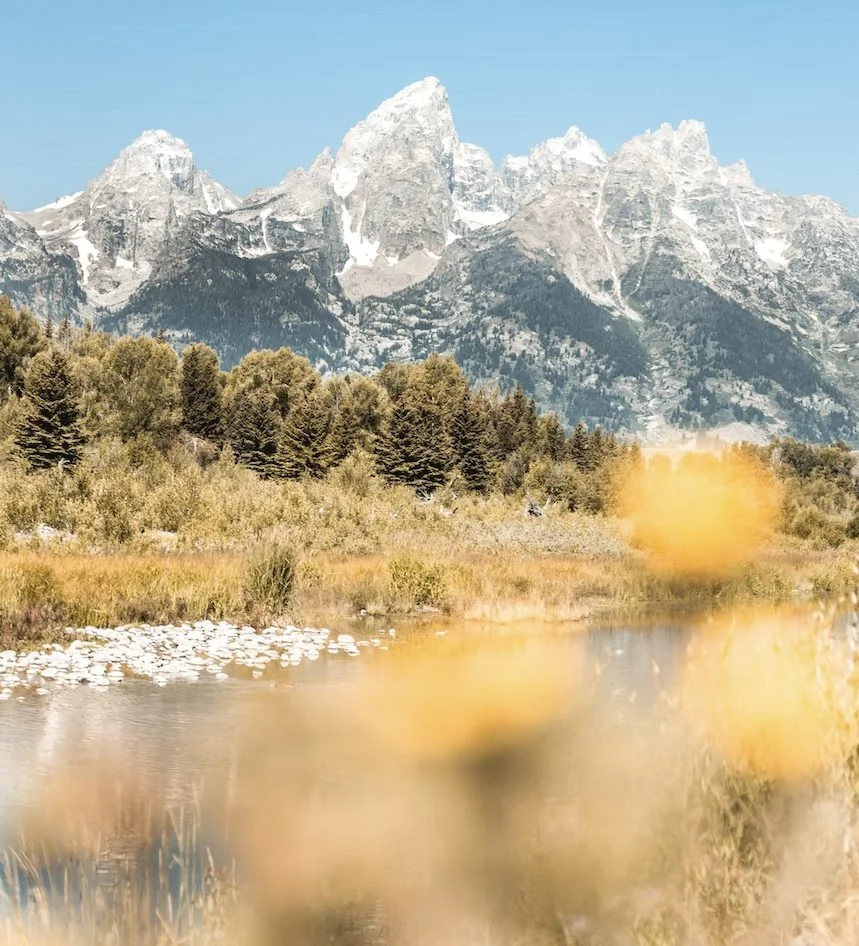 Snow-dusted Teton mountain peaks beyond a river and autumn grasses near Jackson Hole.