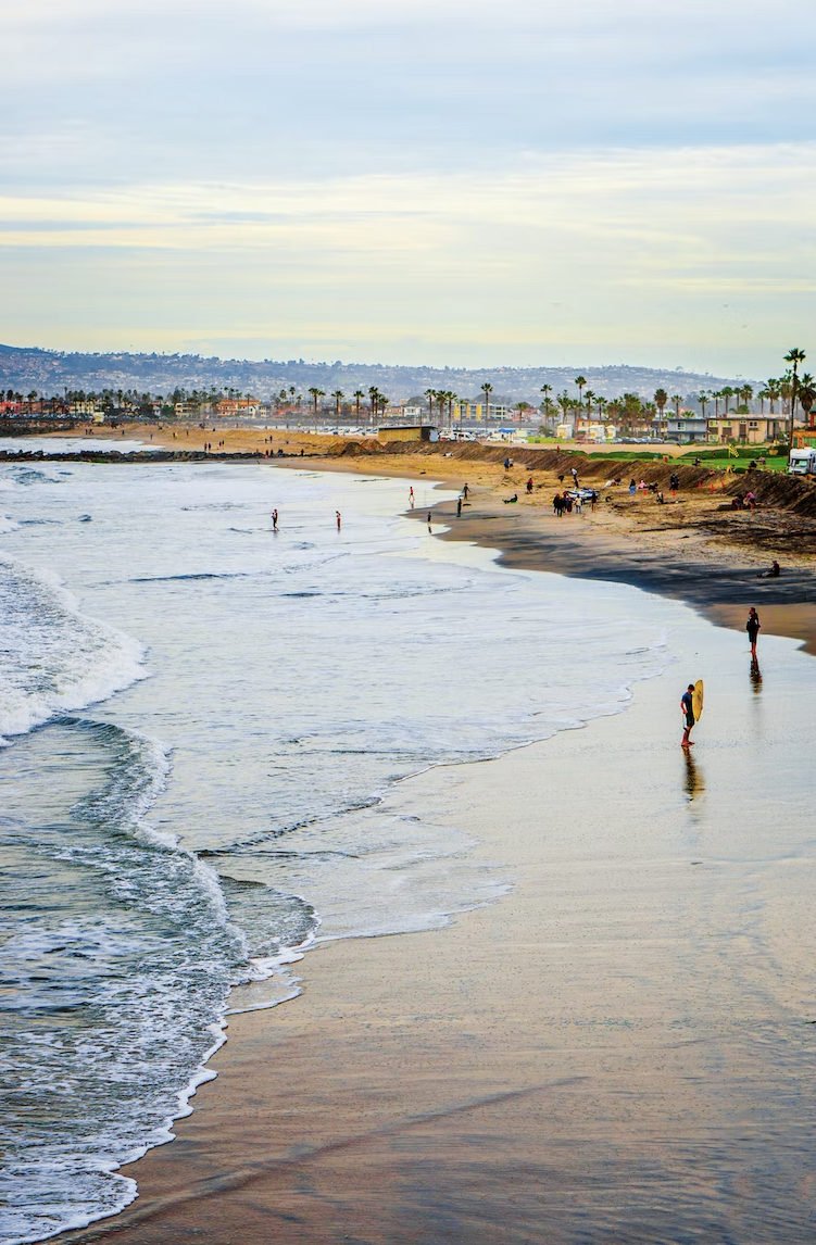 Gentle waves along a sandy San Diego beach lined with palm trees.
