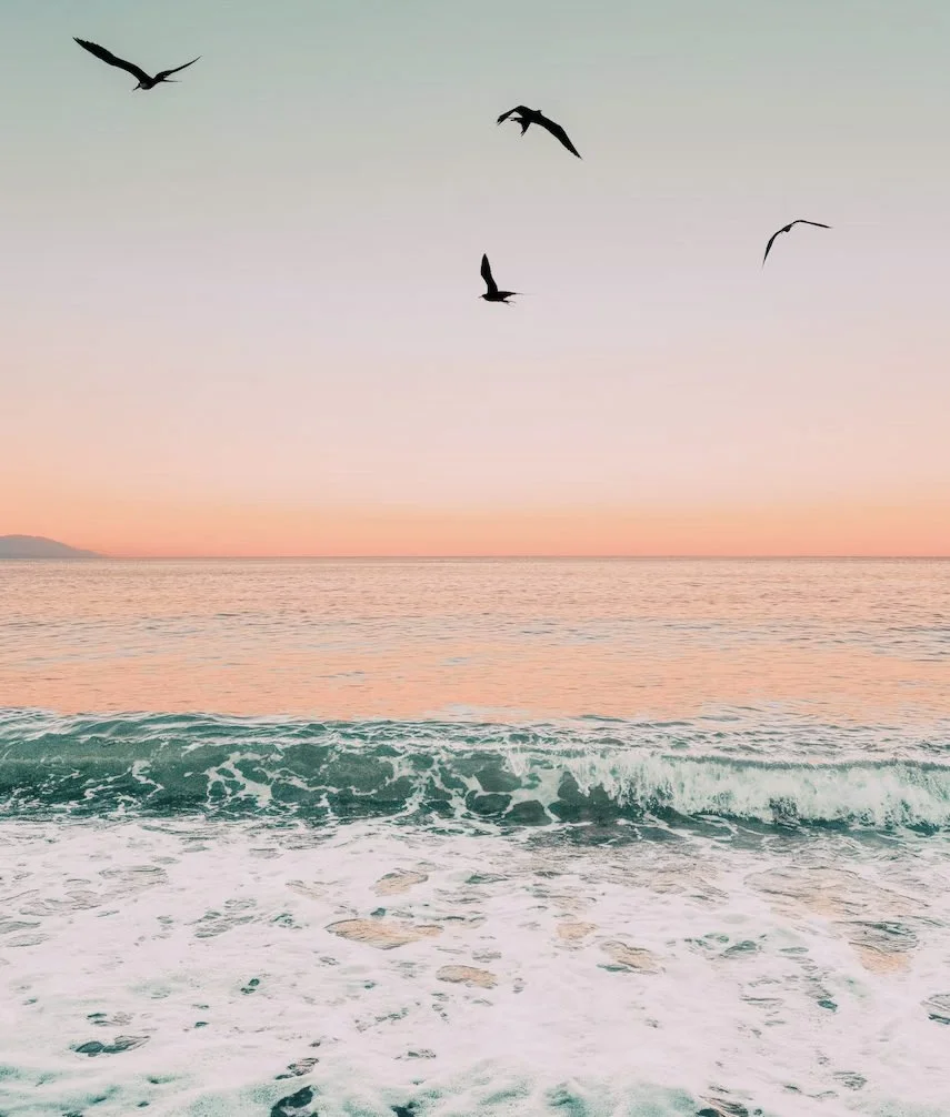 Birds flying above ocean waves beneath a pink sunset sky.