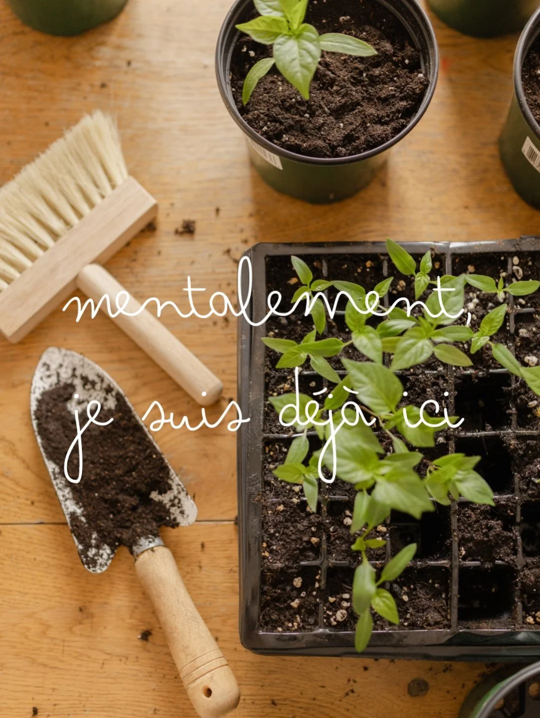 Seulement quelques semaines encore avant de se remettre les mains dans la terre 🌱🪺🌷