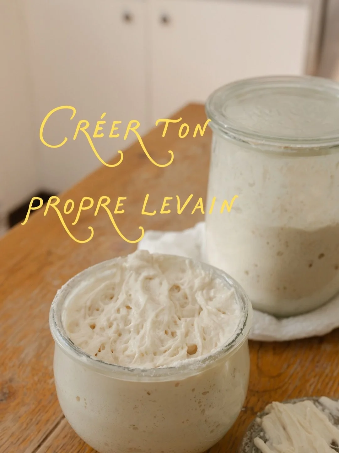 J&rsquo;ai rassembl&eacute; tout les r&eacute;els du d&eacute;fi levain qu&rsquo;on avait fait en 2024 pour que tu puisses toi aussi voir les &eacute;tapes et l&rsquo;&eacute;volution d&rsquo;un levain. Partage-moi ton processus si tu d&eacute;cides 