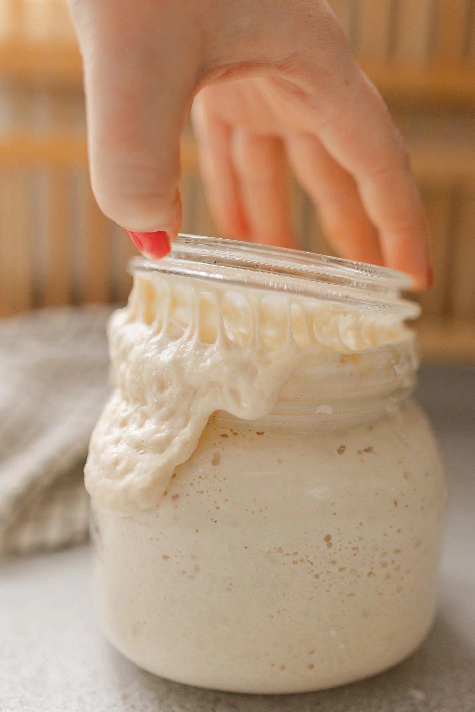 Le cycle du levain