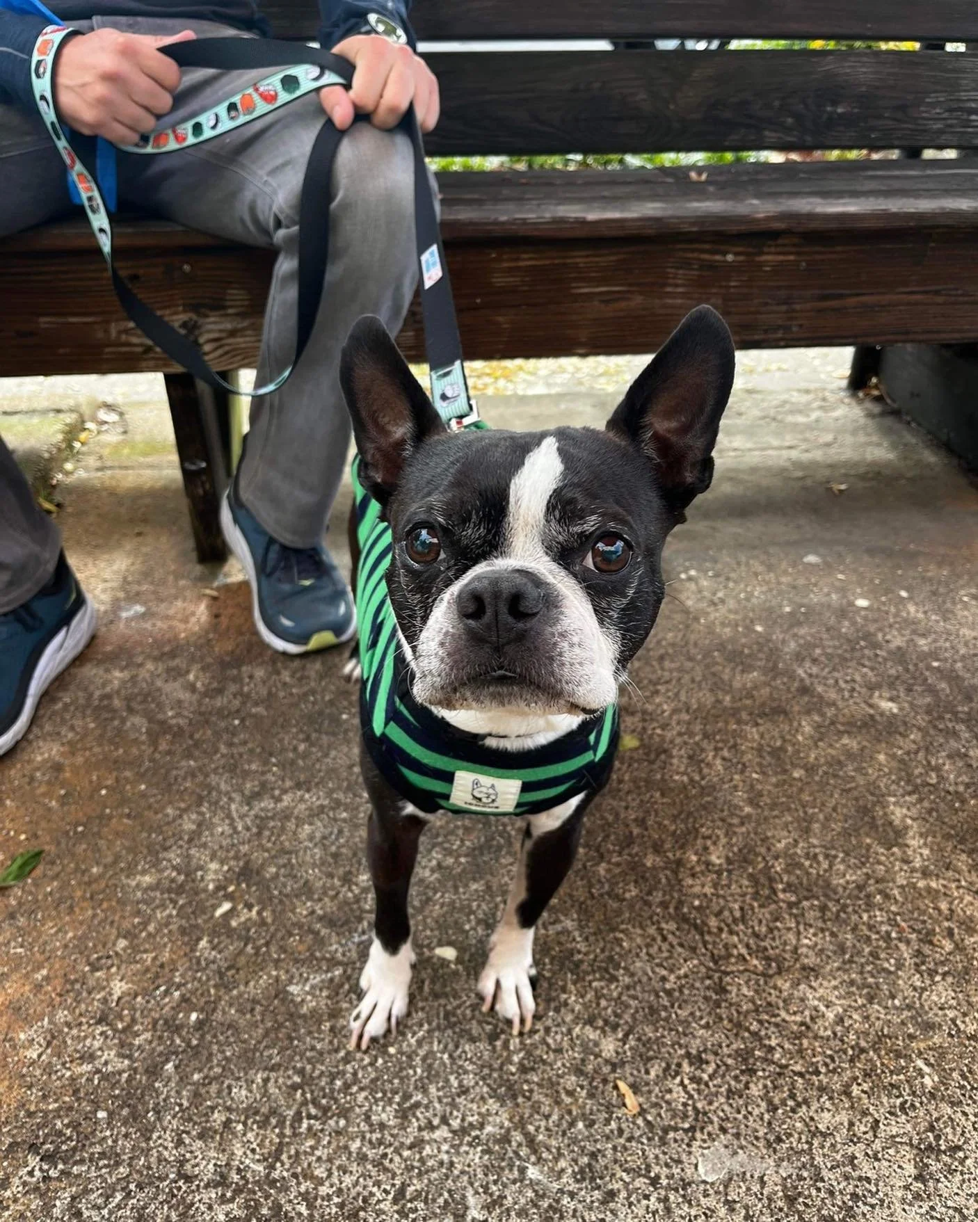 Hi Barkley! 
Come say hi! We&rsquo;re open until 4pm!