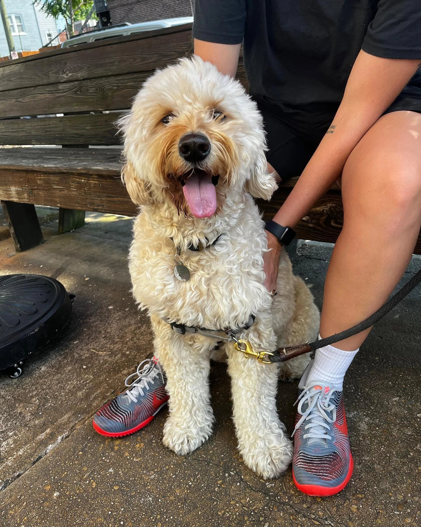 Welcome to #fuelpups Banjo!
We&rsquo;re open to furry friends and their humans until 4pm.