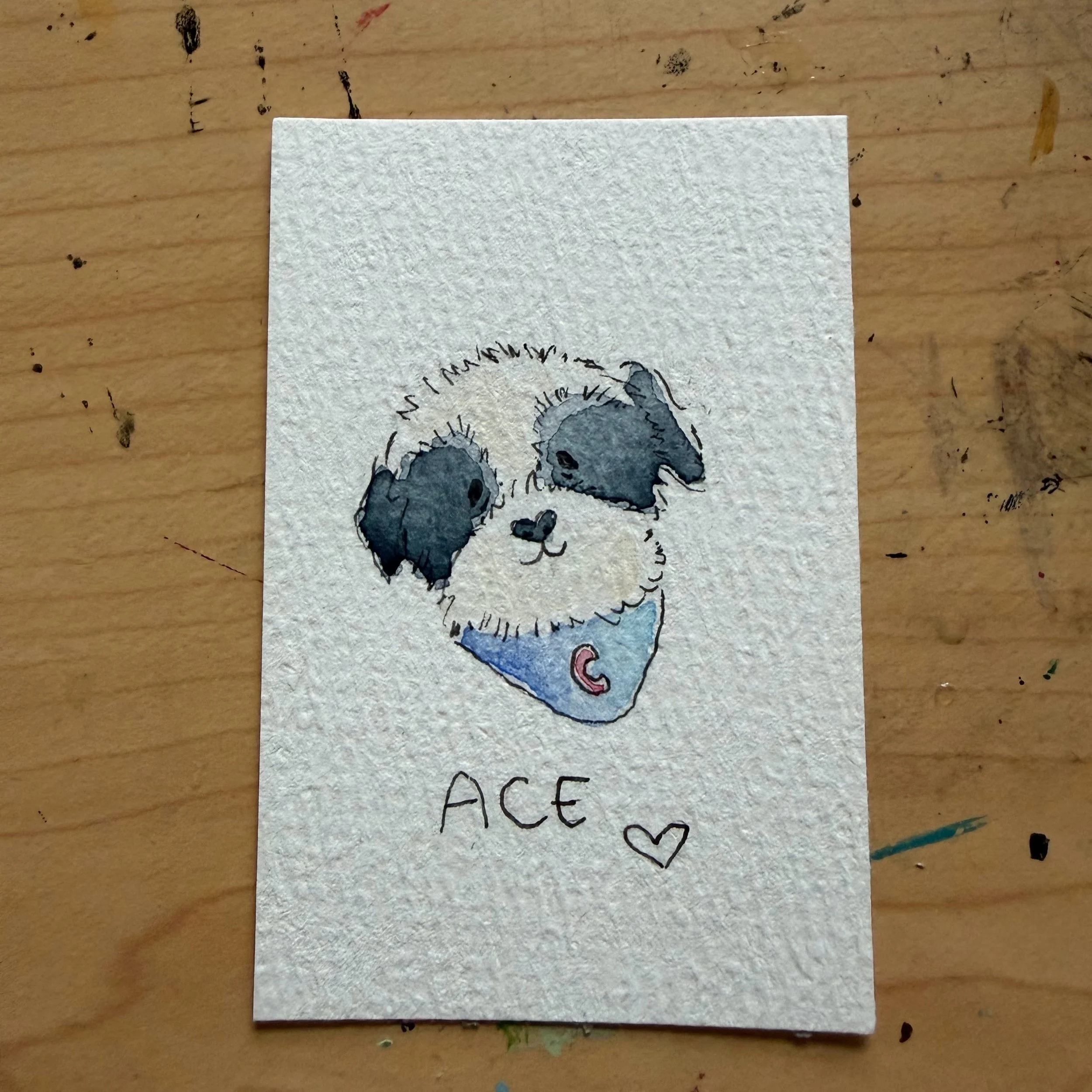ACE_PP.jpg