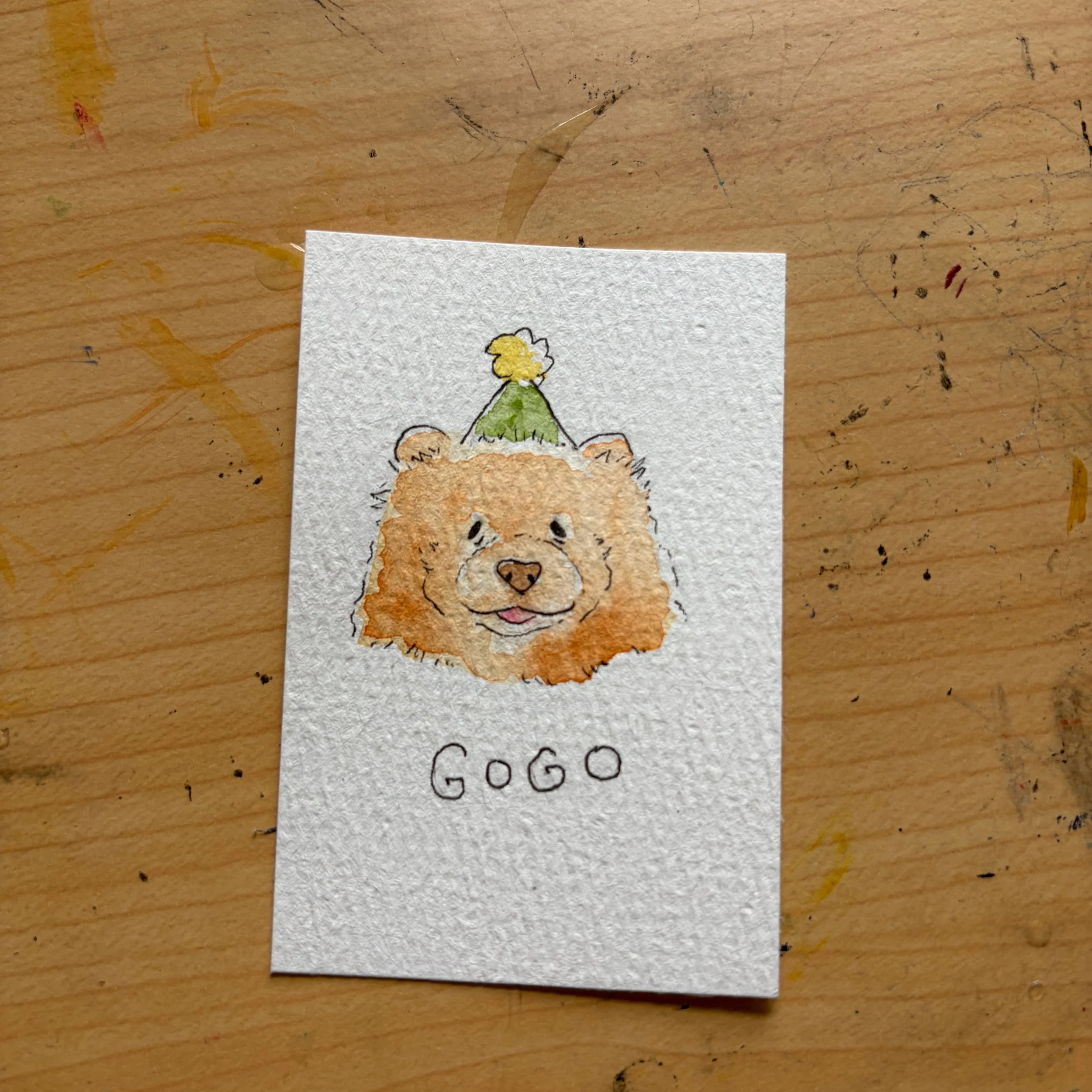 Mini Pet Portrait