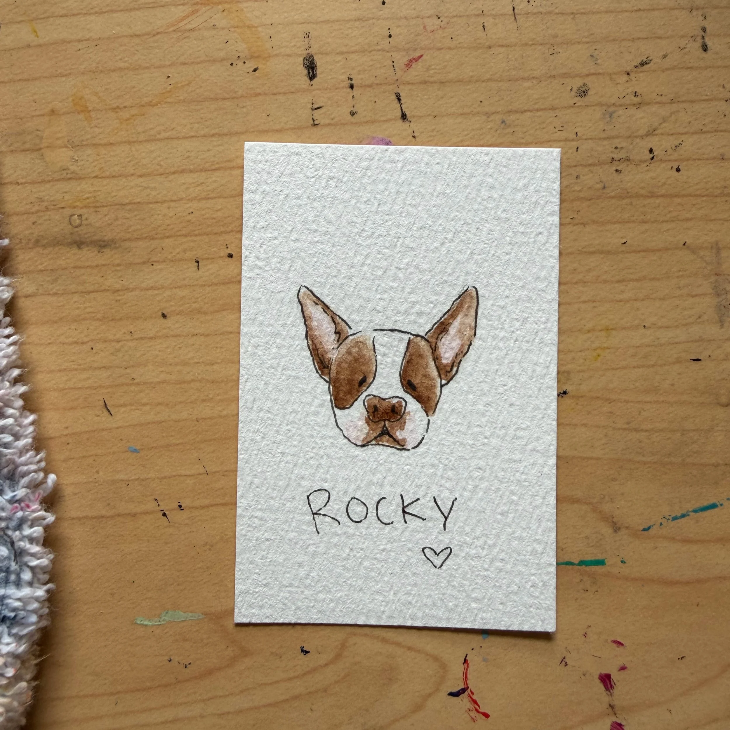 ROCKY_PP.jpg