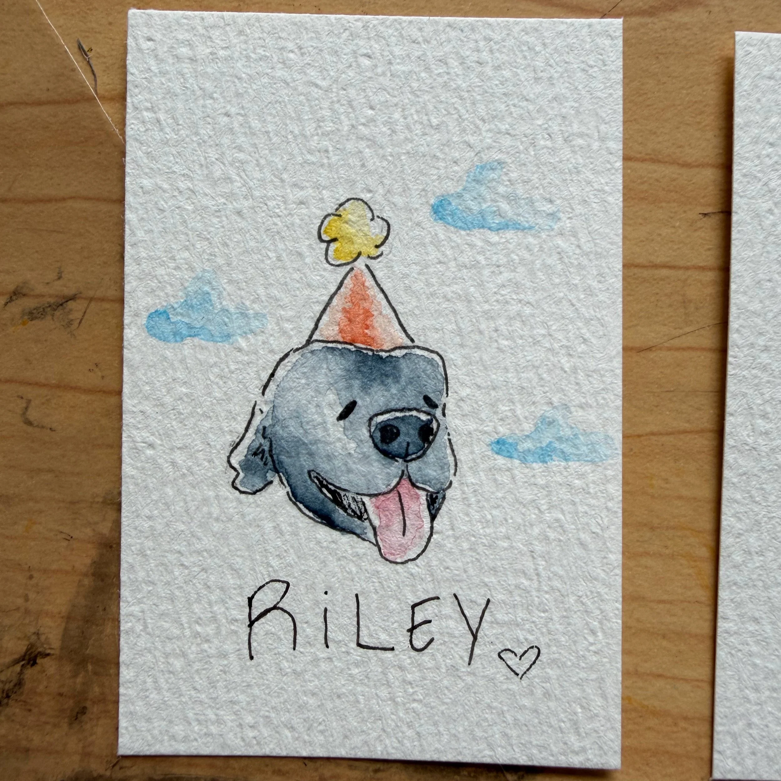 RILEY_PP.jpg