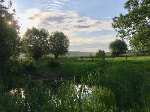 IMG-20190613-WA0029.jpeg
