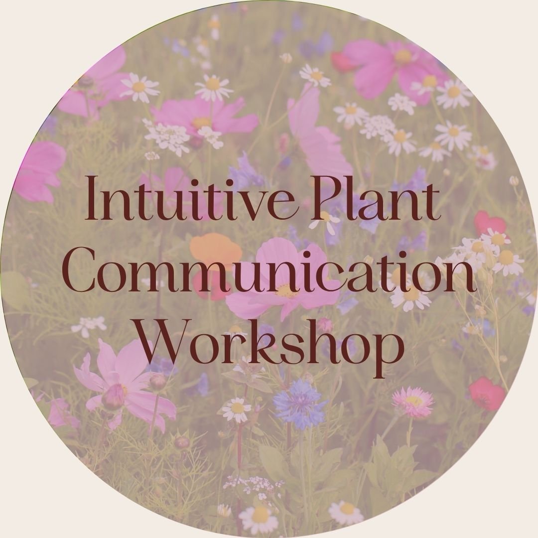Plant Communication in practice .jpg