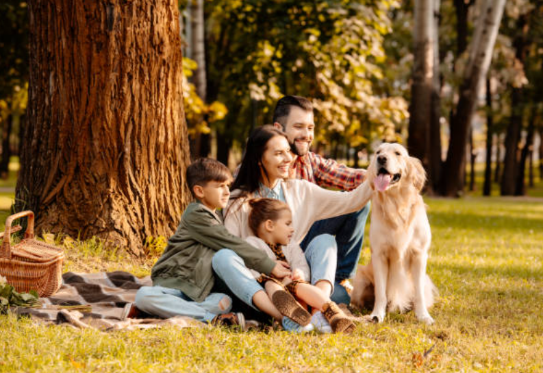 All About Pet Trusts