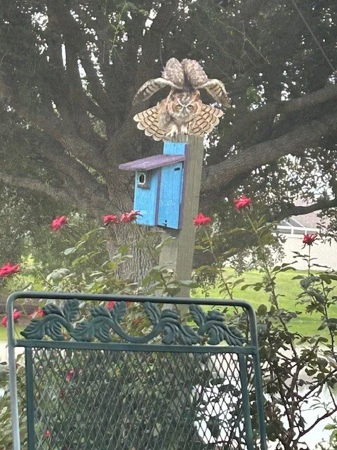 From My Porch to Yours
