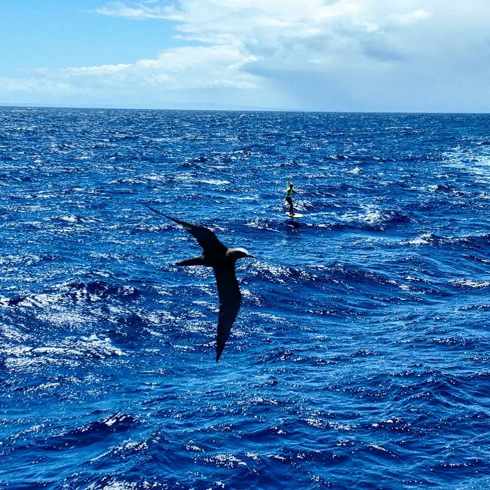 Beginner Tips for SUP strugglers!