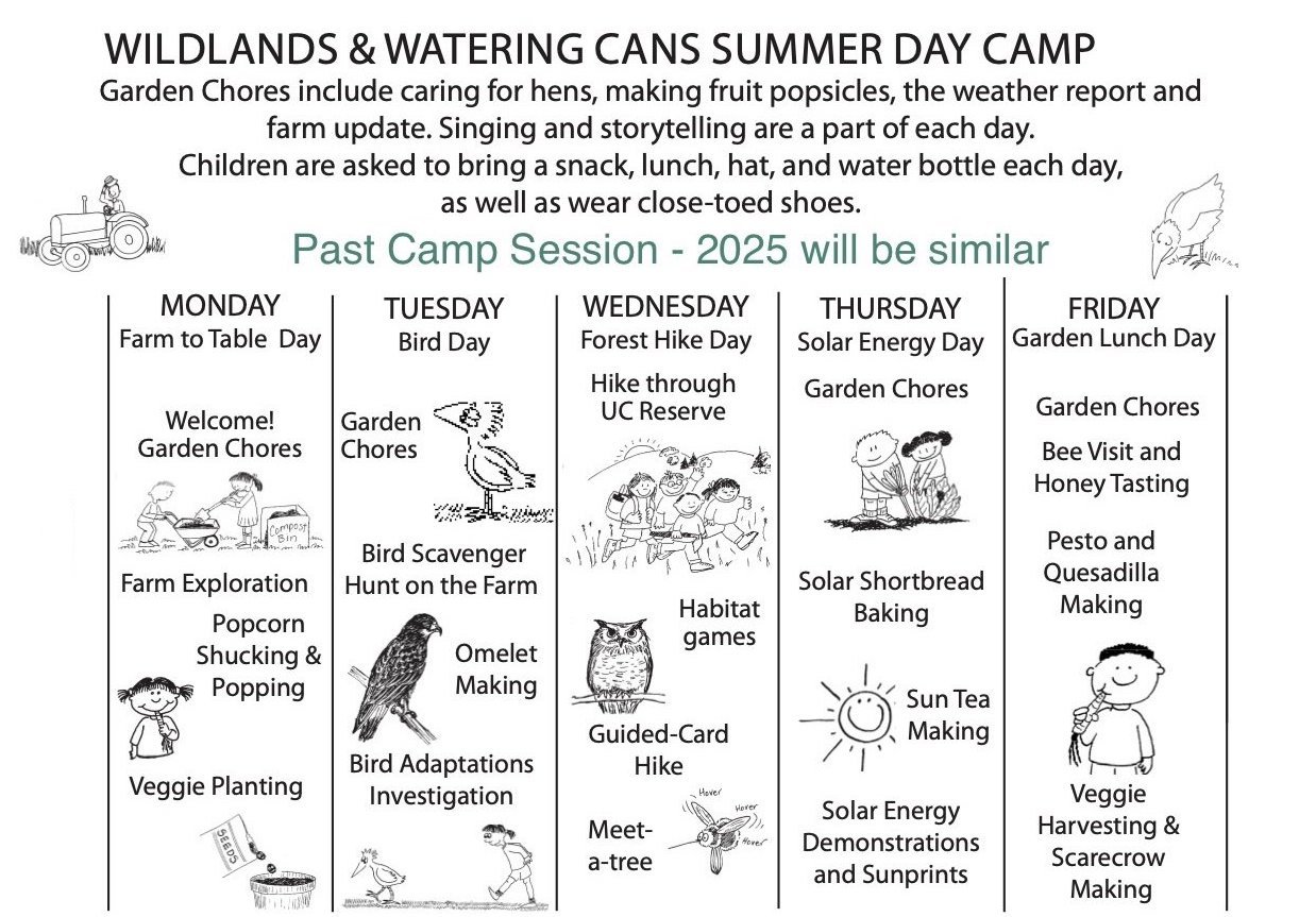 Kids Summer Camp