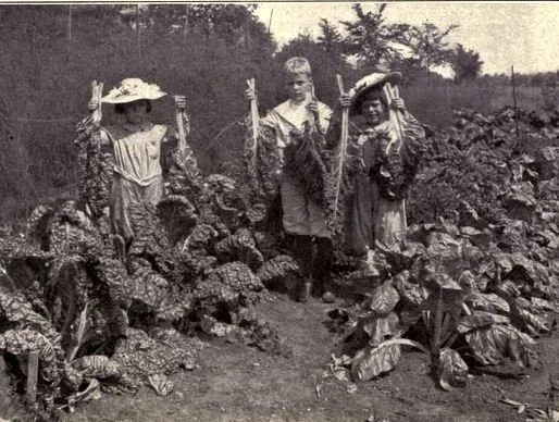 100 Plus Years of Garden-Based Learning