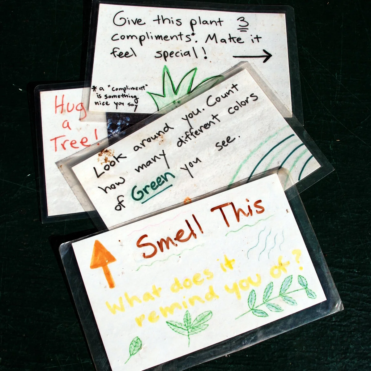 Card Hike