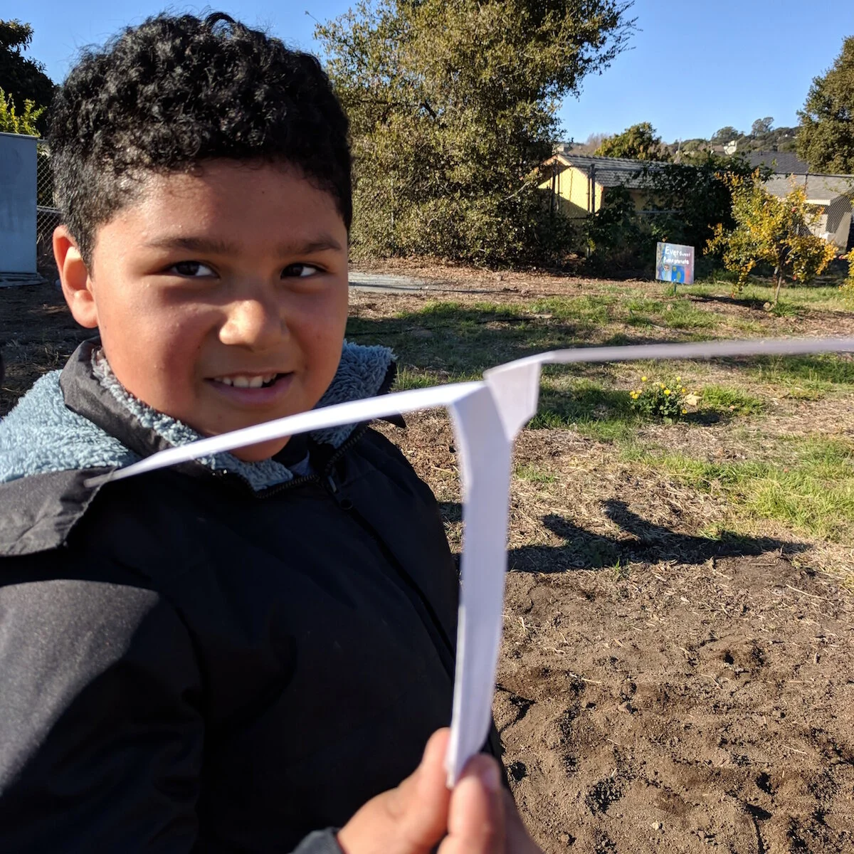 Samara Seeds - Make a Flying Seed Model