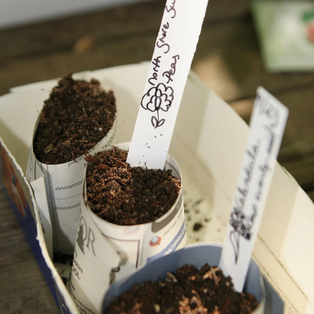Paper Pots