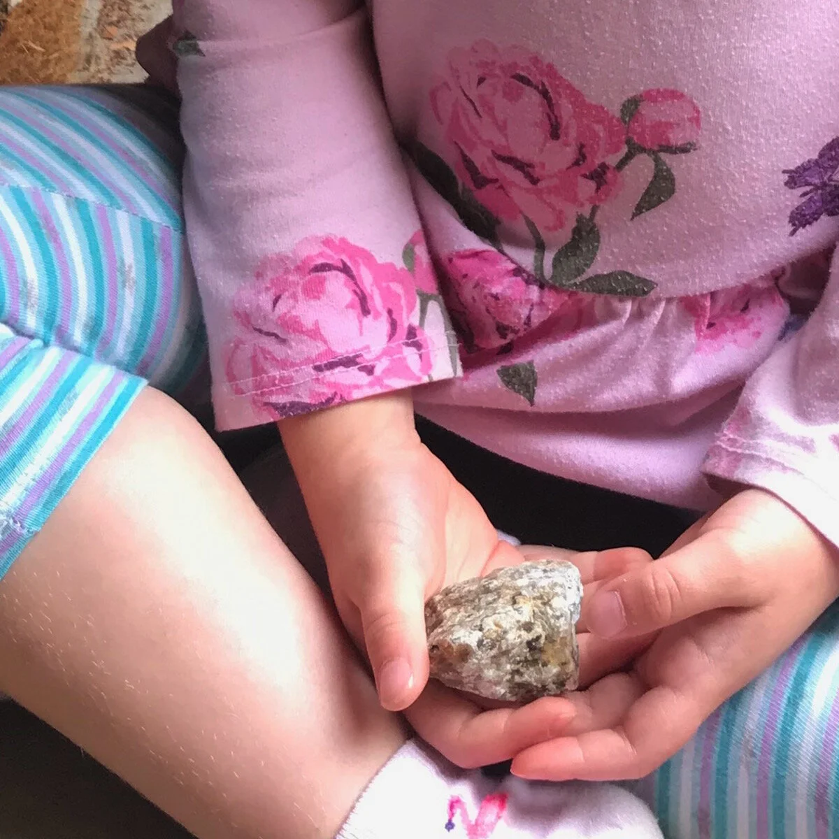 Everyone Needs a Rock