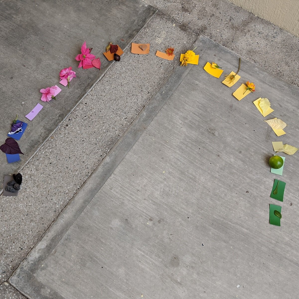 Pedacitos de ArcoÍris