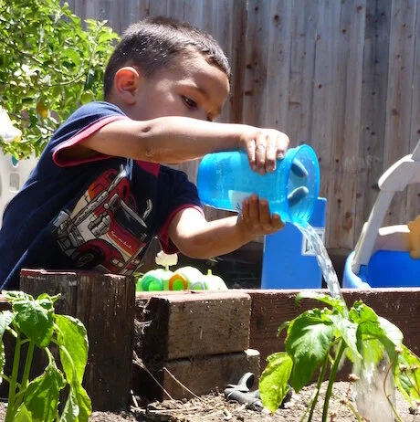 Family Gardening Resources and Webinars