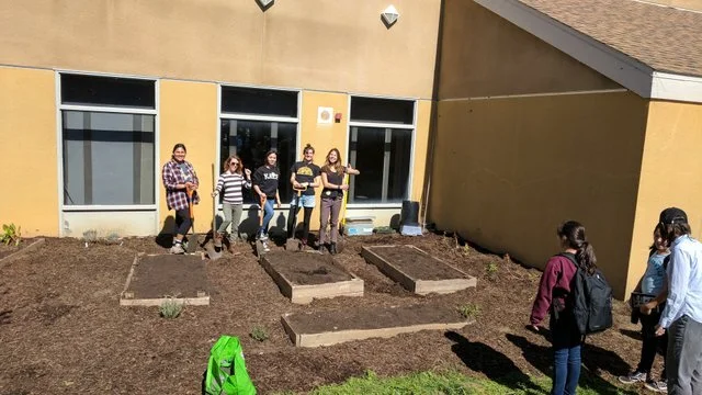 Soil &amp; Garden Beds