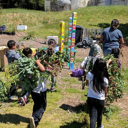 Maintaining Your Garden