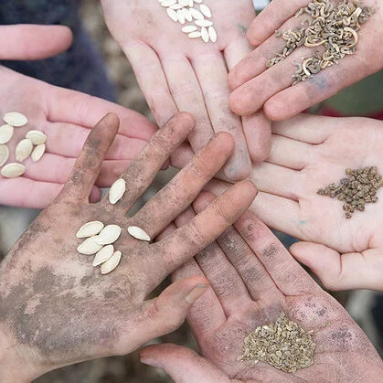 Seed Saving Resources