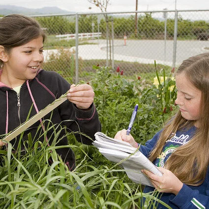 Content Standards in the Garden