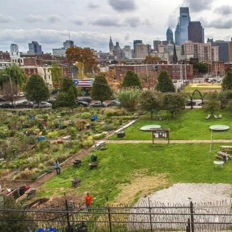 One Garden, Many Schools: Multi-Use School Garden Models