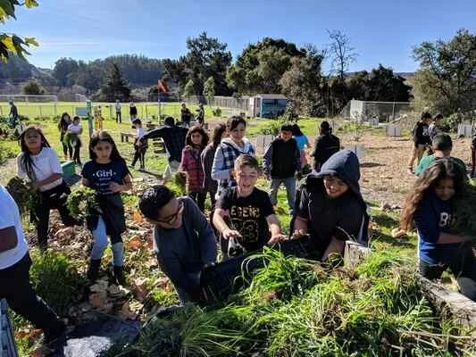Life Lab grows gardeners through ‘the power of garden-based learning’ - Santa Cruz Sentinel