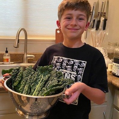 Harvested Kale
