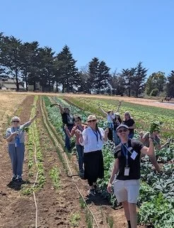 kale-harvest.jpg