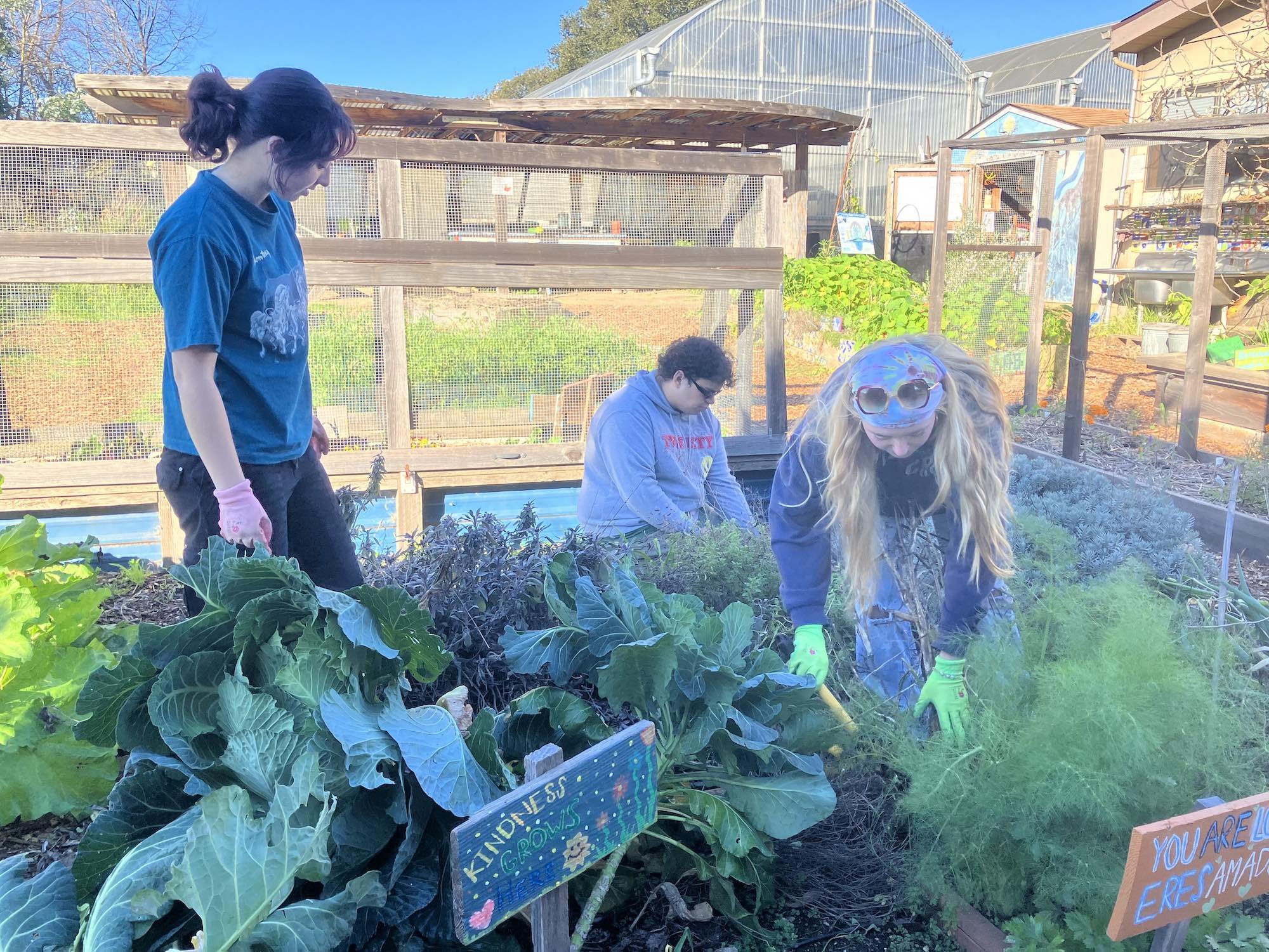 Digging In: The UCSC Gardening Internship Has Begun!