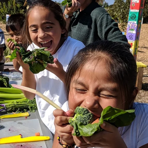 OneBite Lessons — Life Lab