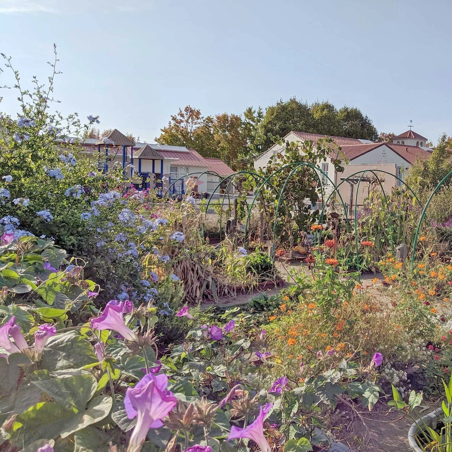 Professional Development Opportunities — Life Lab