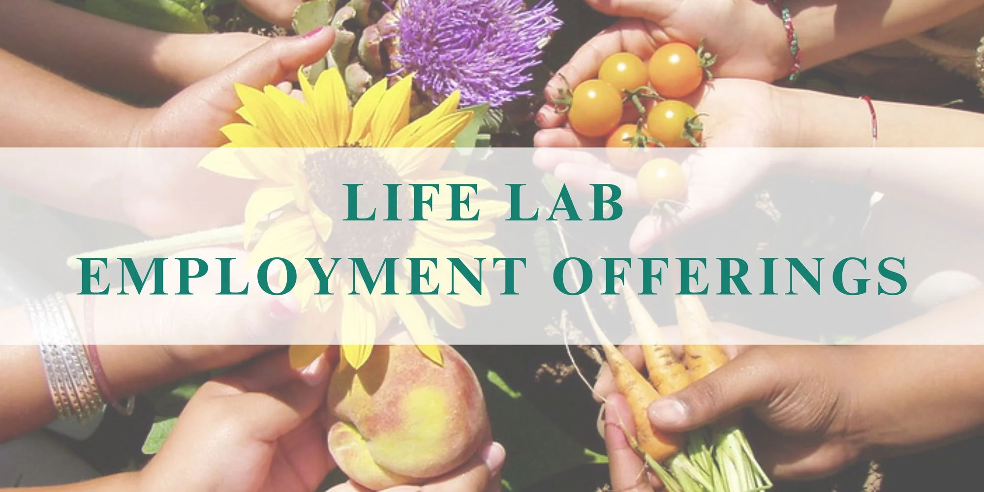 Jobs — Life Lab