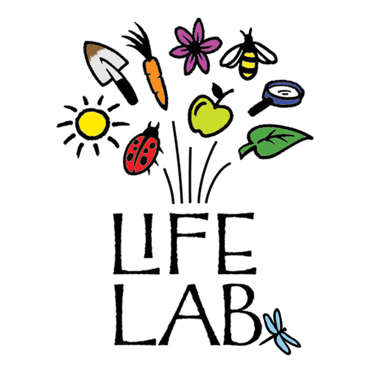 Life Lab