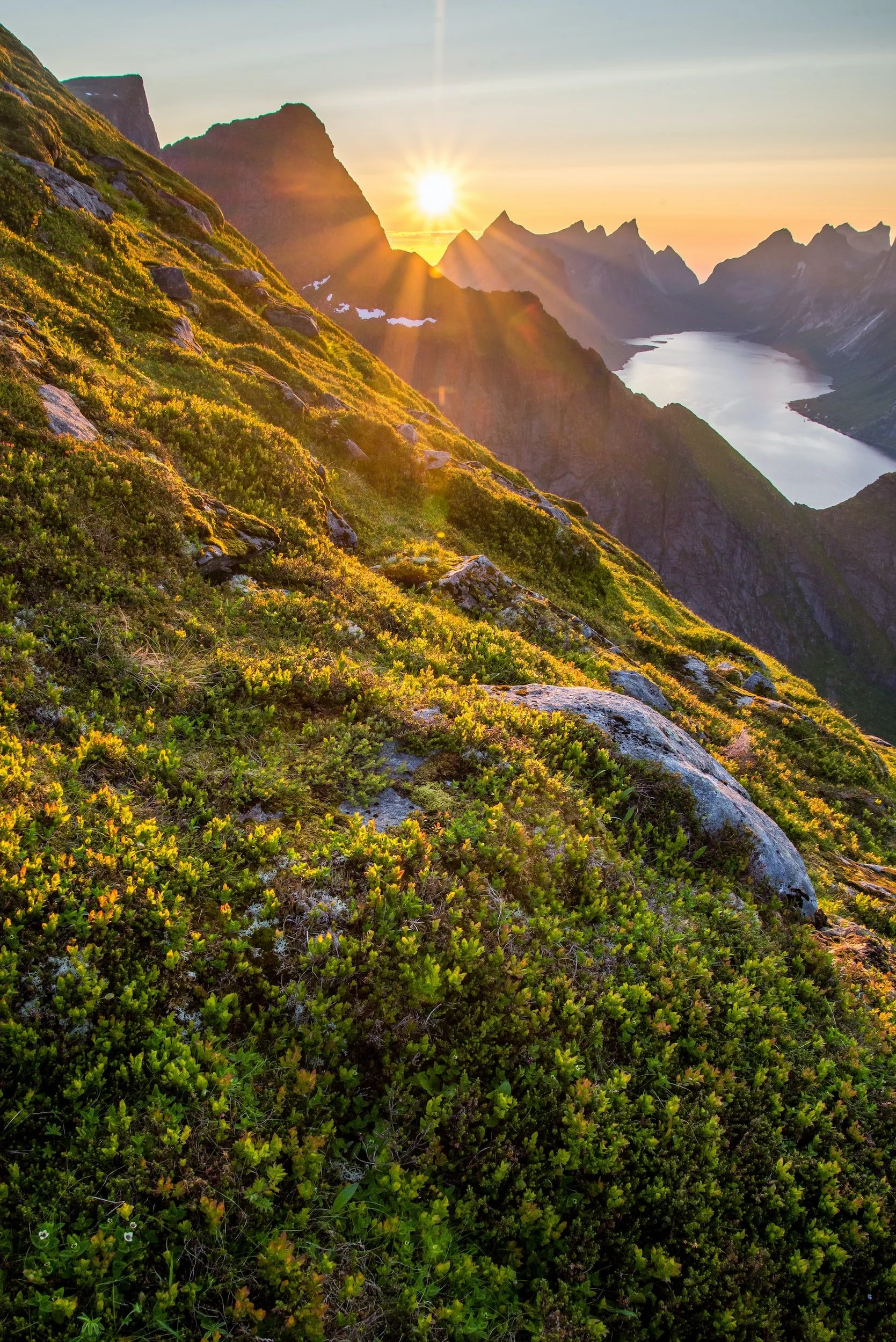 unsplash-image-dI7vfR1Bqcg.jpg