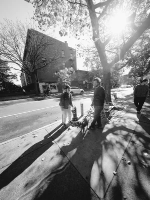 Koa Ridge Pet-Friendly Living 2026 | Dog Parks, Trails &amp; Pet Policies in Central Oahu