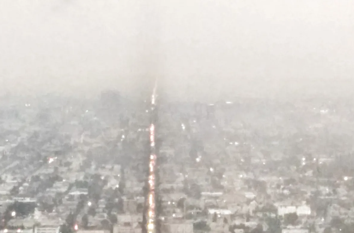 NONFICTION – Lucy on the Couch: A Memoir by Karen Wunsch