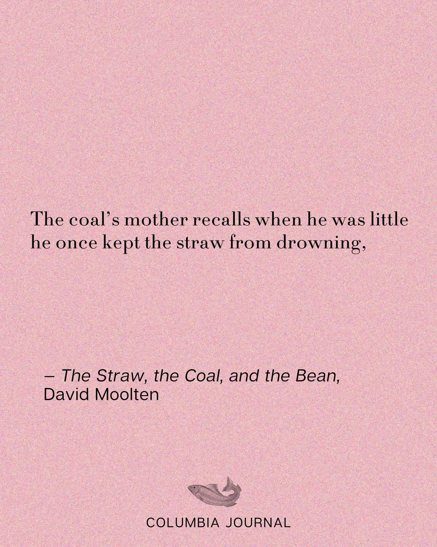The Straw, the Coal, and the Bean by David Moolten is now live on our website. Read the whole work in our Poetry Column. Link in bio.